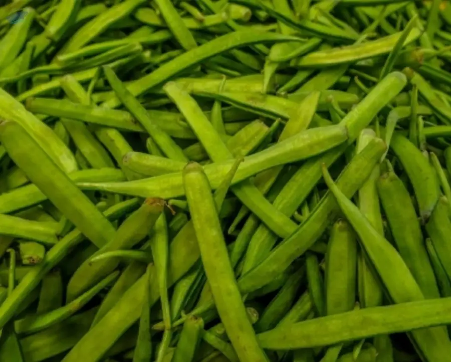 Cluster Beans