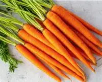 Carrot