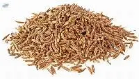 Cumin Seed