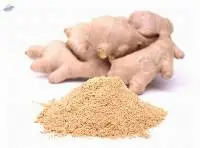 Ginger (Dehydrated)
