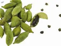 Cardamom