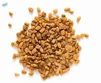 Fenugreek