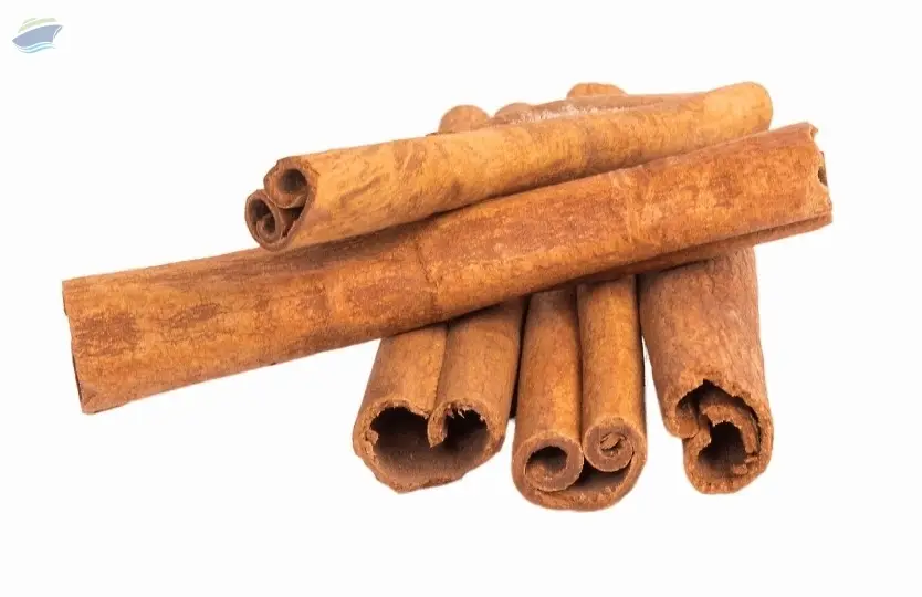 Cinnamon