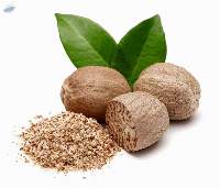 Nutmeg