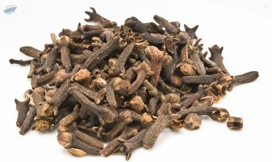 Clove