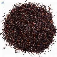 Mustard Seed
