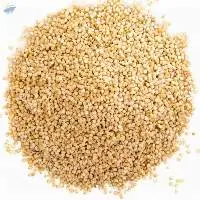 Sesame Seed