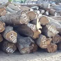 Timber, Teak Wood