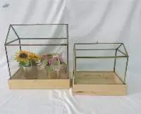 Unique Flower Vases