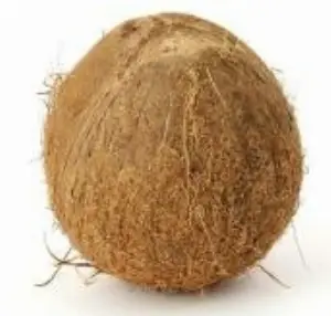 Creole Coconut