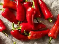 Peppers