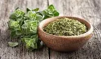 Oregano