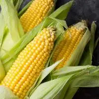 Corn