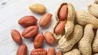 Peanuts / Groundnuts