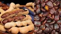 Tamarind Seeds