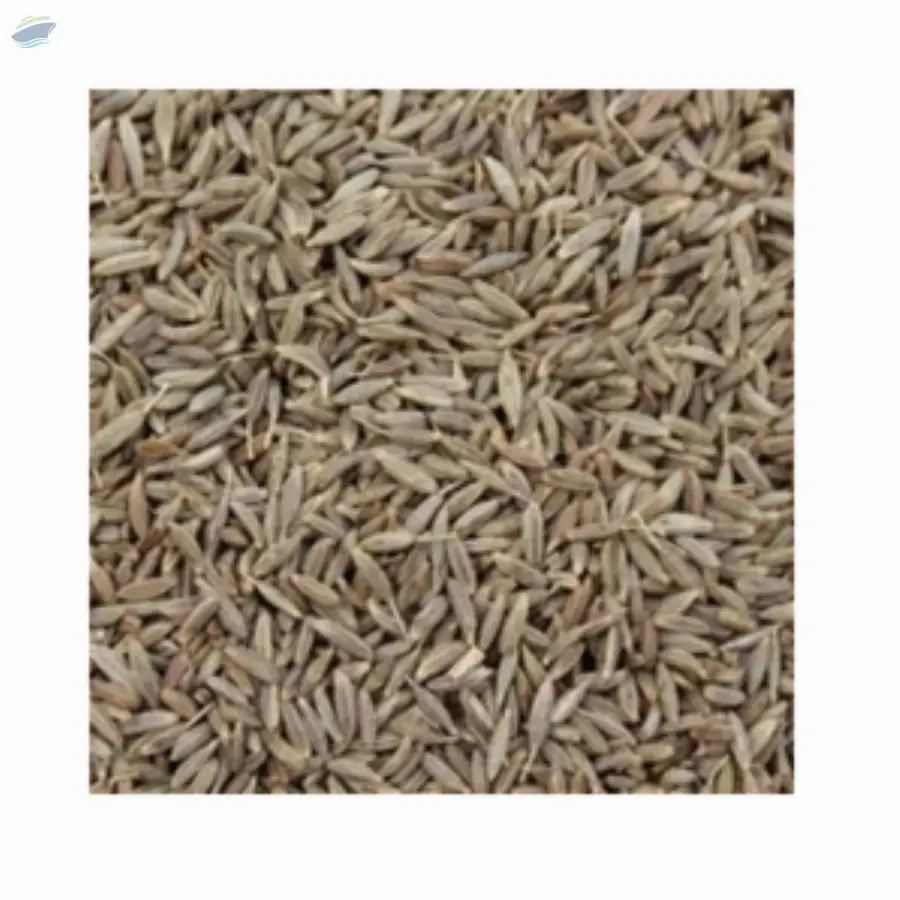  Cumin