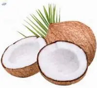 Coconut
