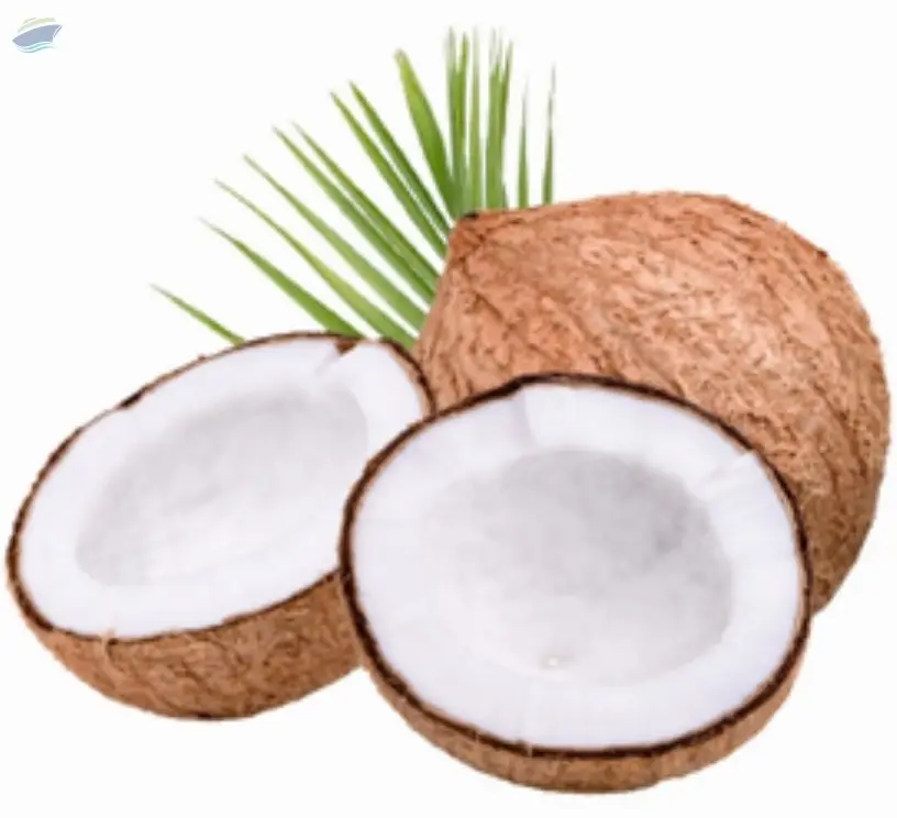 Coconut