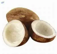 Coconut Copra