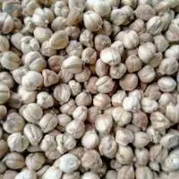 Cardamom