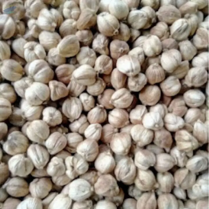 Cardamom