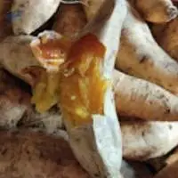 Honey Yam