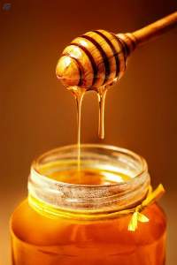 Honey