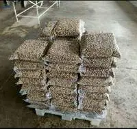 Peeled Walnuts in Vacuumed packaging