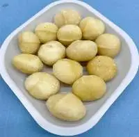 Macadamia Nut