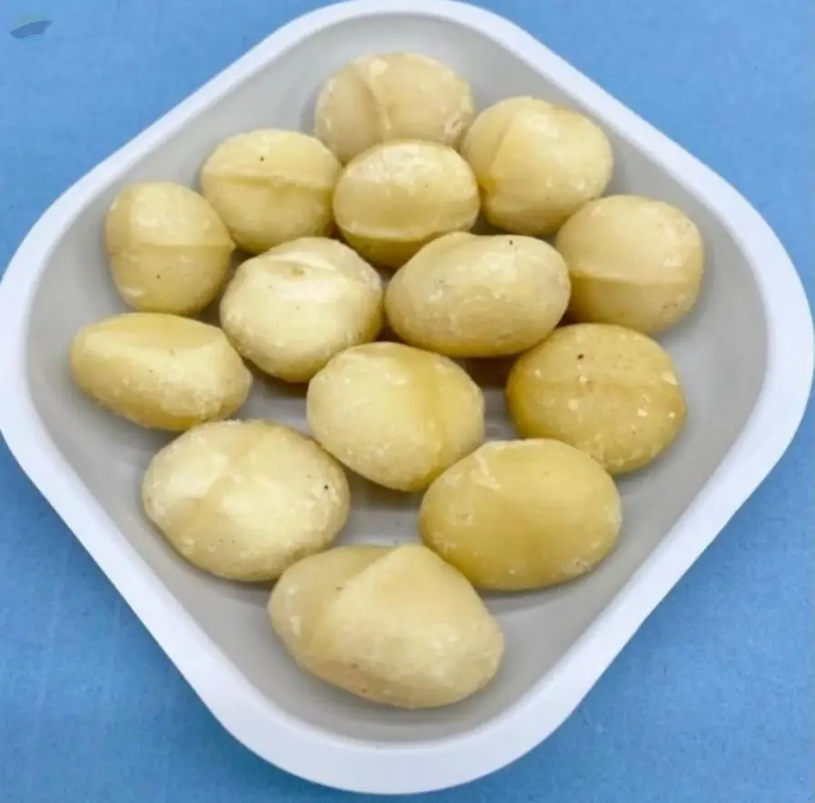 Macadamia Nut