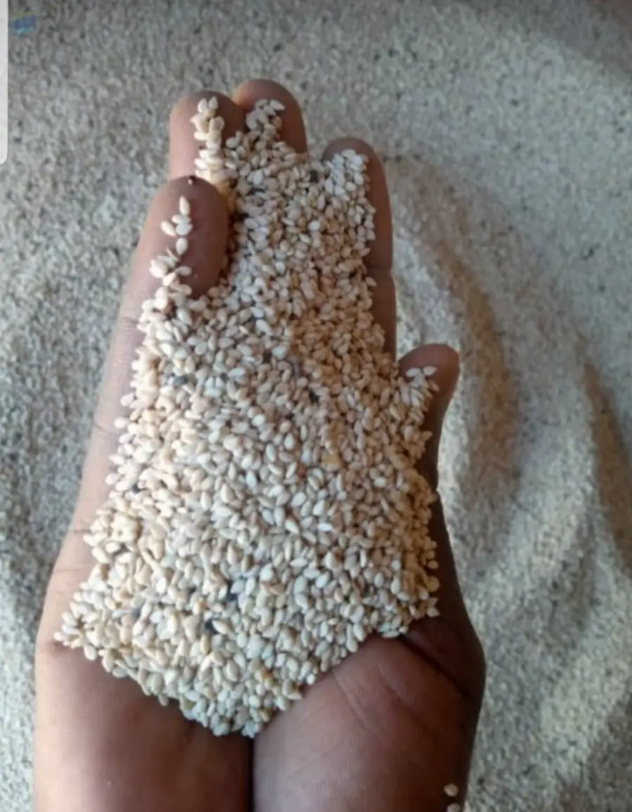 Sesame Seeds (unhulled)