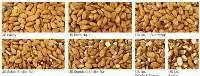 Almonds