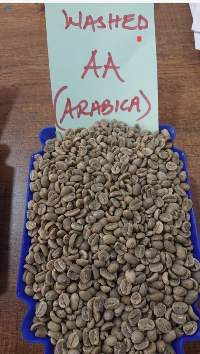 Arabica Coffee Beans