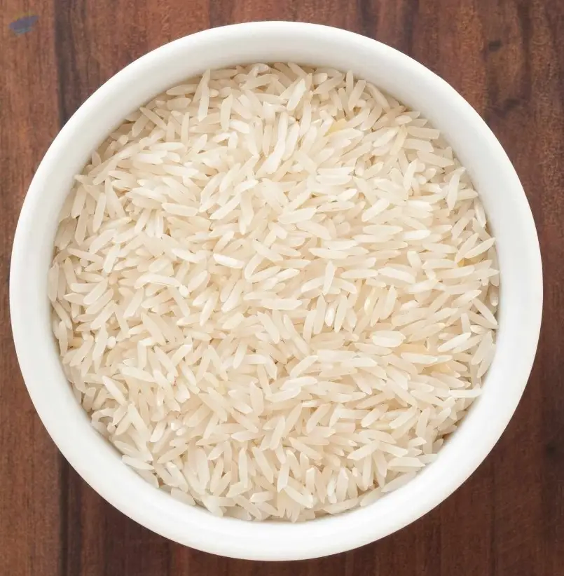 Rice