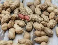 Unroasted Peanuts