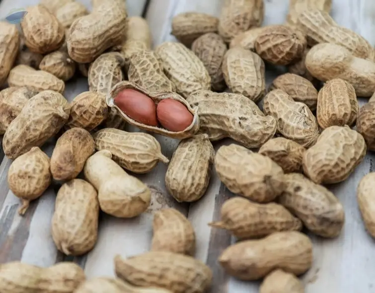 Unroasted Peanuts