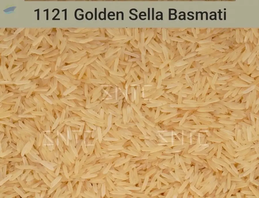 1121 Golden Sella Rice