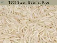 1509 Steam rice