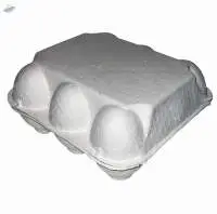 6 Pcs Fiber Pulp Molded Egg Box