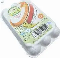 15 Pcs Fiber Pulp Molded Egg Box