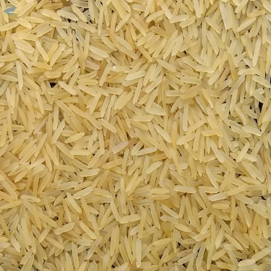 1121 Golden Sella Rice