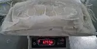 FROZEN SQUID