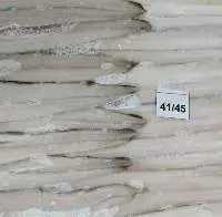 Frozen Conger Eel Fillet