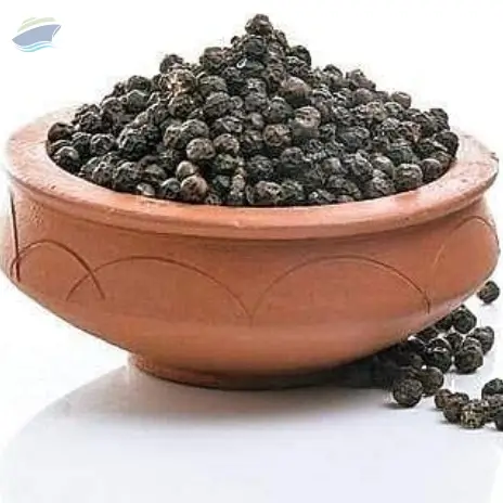Pepper