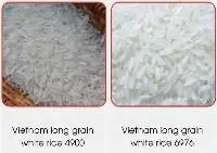 Long grain Jasmine Rice