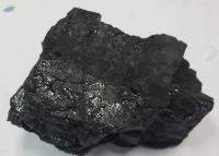 Steam Coal