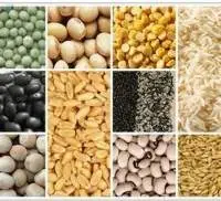 Agro Products