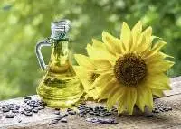 Sunflower Oil