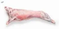 Fresh , Frozen Lamb