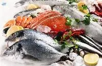 Fresh And Frozen Fish